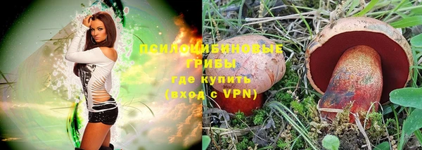 хмурый Медногорск