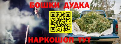 бошки Бийск