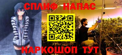 ешки Абинск