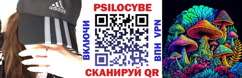 купить наркотики сайты  Дмитров  мега ссылки  Псилоцибиновые грибы ЛСД 