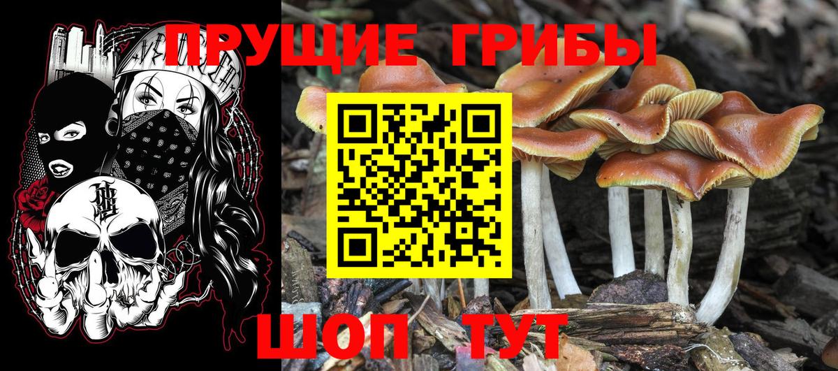 Каннабис  Дмитров  Меф МЯУ МЯУ   ГАШ  Альфа ПВП СОЛЬ   ГАШ  Вход с VPN  АМФЕТАМИН  