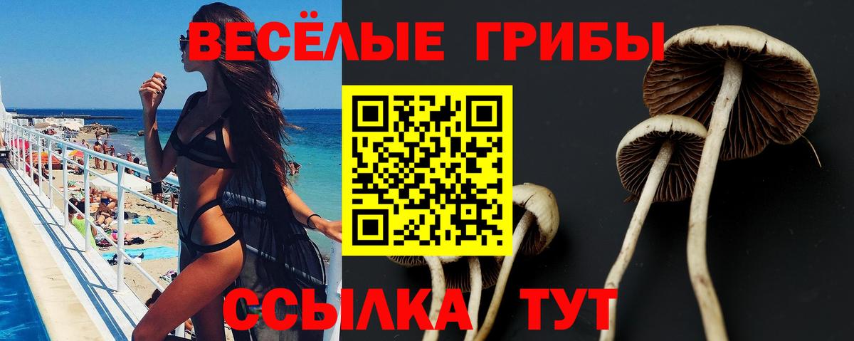 Псилоцибиновые грибы MAGIC MUSHROOMS Дмитров