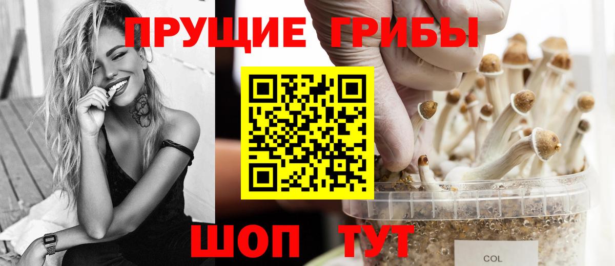 Галлюциногенные грибы прущие грибы  Вход с VPN  Дмитров  Галлюциногенные грибы GOLDEN TEACHER 