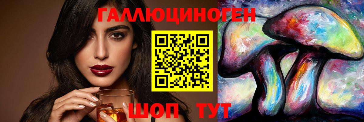 Галлюциногенные грибы Psilocybine cubensis Дмитров